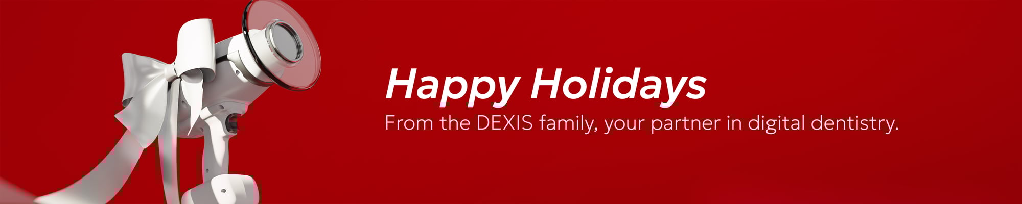 Holiday Landing Page Bottom Banner 2025-2